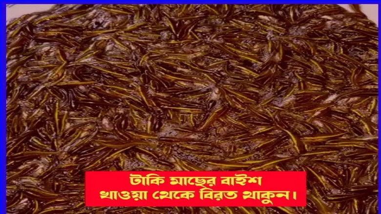 টাকি বা শোল মাছের বাইশের চচ্চরি যতই সুস্বাদু হোক, এটি খাওয়া 