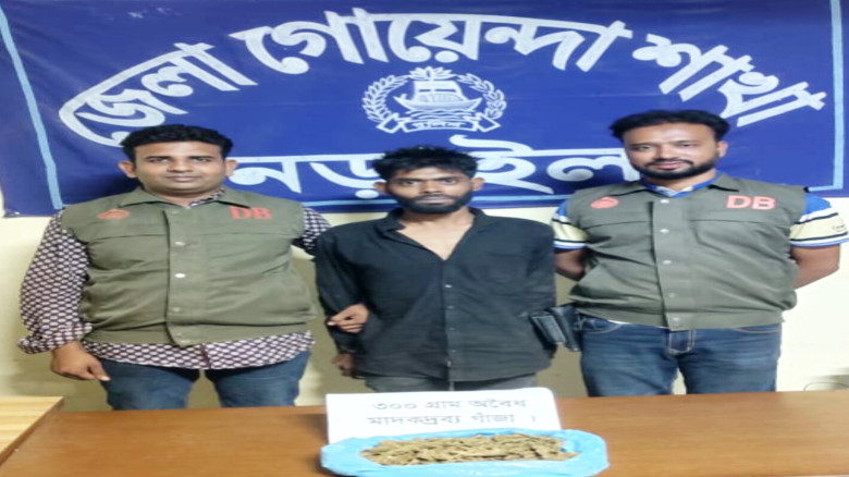 নড়াইলের লোহাগাড়ায় ডিবি পুলিশের এ এসআই নাহিদ'র নেতৃত্বে গাঁজা