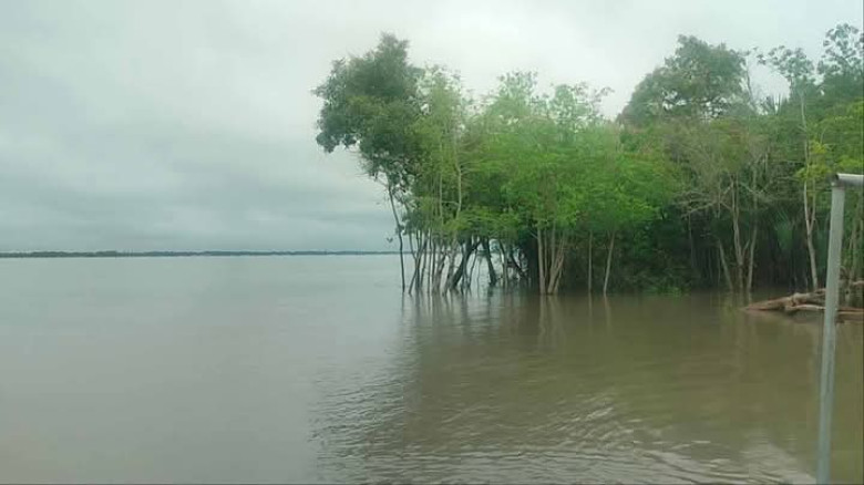 বাগেরহাটে টানা বৃষ্টিপাতে নিম্নাঞ্চল প্লাবিত