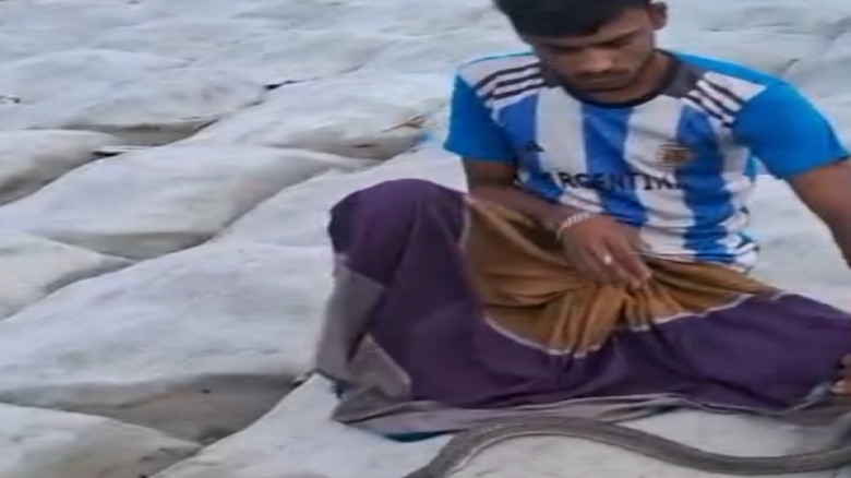 মনপুরায় পোষা সাপের দংশনে যুবকের মৃত্যু