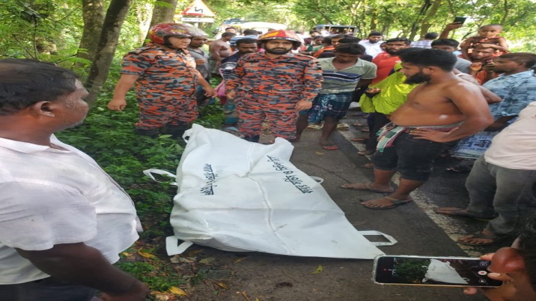 বীরগঞ্জে ভয়াবহ সড়ক দুর্ঘটনায় প্রাণ গেল ১ জনের, আহত অন্তত ১০