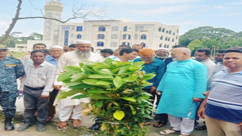 মনপুরায় জুলাই শহীদদের স্মরনে বৃক্ষ রোপন ও দোয়া মোনজাত।