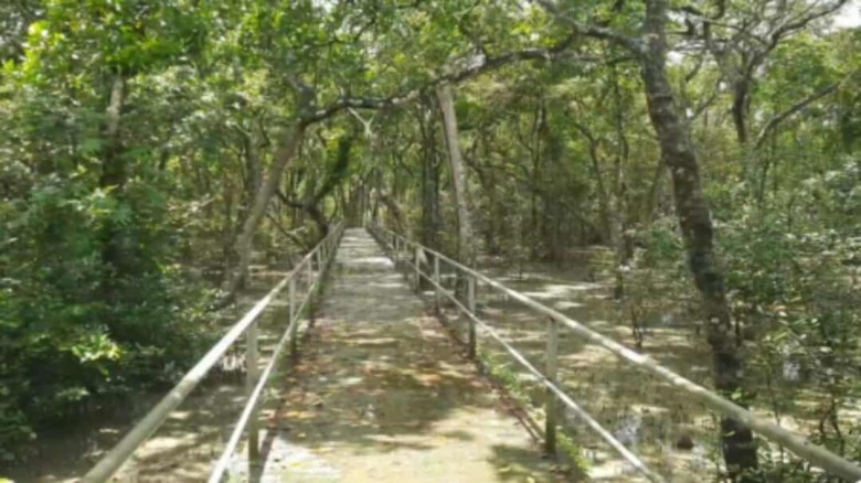 দীর্ঘ তিন মাস নিষেধাজ্ঞার পর আজ থেকে পর্যটকদের জন্য খুলছে সু