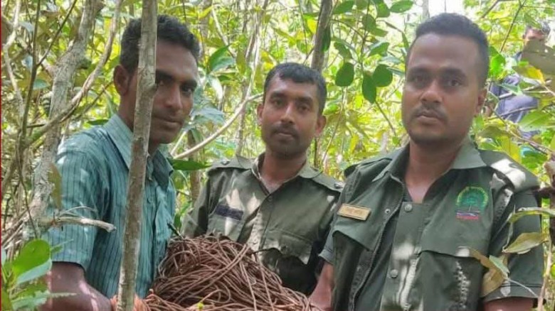 সুন্দরবনে হরিণ শি'কারের ৫০০মিটার ফাঁ/দ উদ্ধার