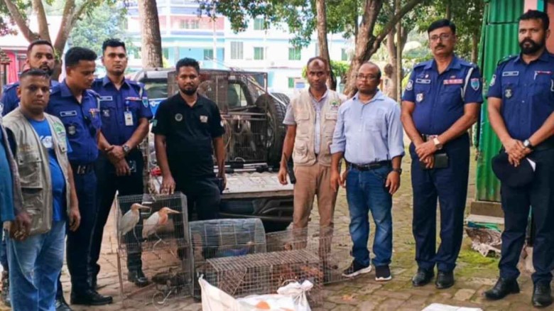 নড়াইলে নিরিবিলি পিকনিক স্পটে অভিযান অবৈধ চিড়িয়াখানা থেকে ২৫ 