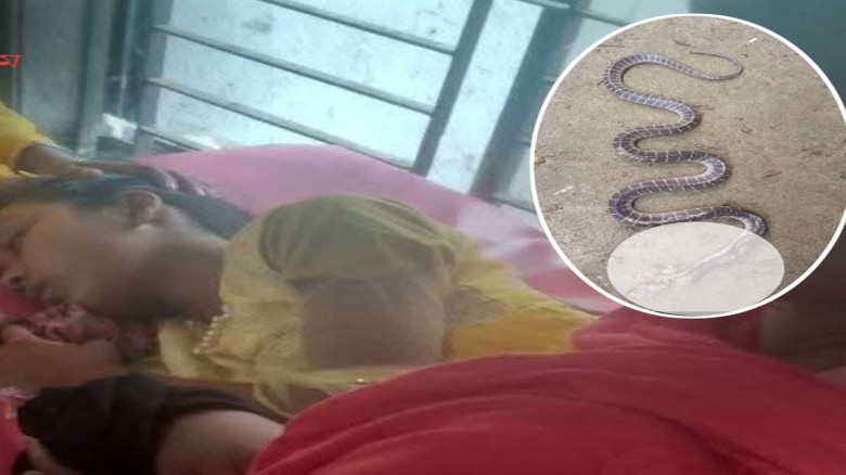 কুড়িগ্রামে সাপের কামড়ে কিশোরীর মর্মান্তিক মৃত্যু