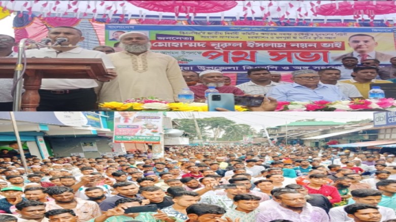 মনপুরায় নির্বাচনী প্রচারণায় পথসভায়  যুবদলের কেন্দ্রীয় সাধারণ
