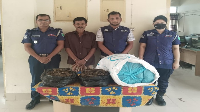 হবিগঞ্জ জেলার বাহুবলে পুলিশের অভিযানে ১২ কেজি গাঁজাসহ মাদক ব